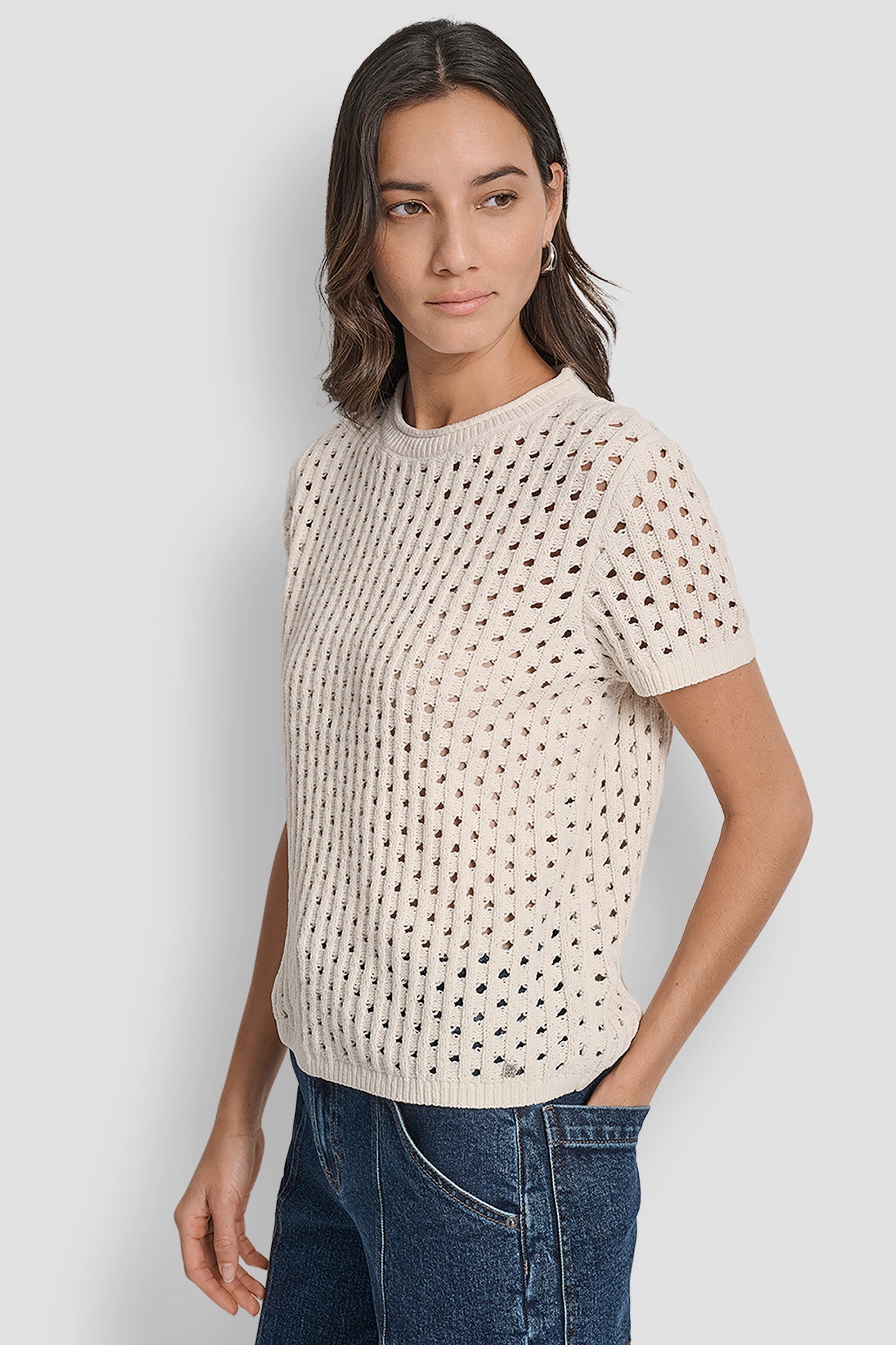 OPEN STITCH CREW NECK SHORT SLEEVE SWEATER